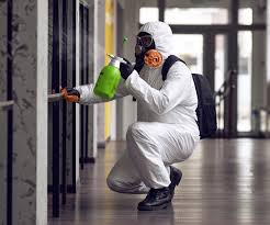 Best Commercial Mold Inspection  in Philmont, NY